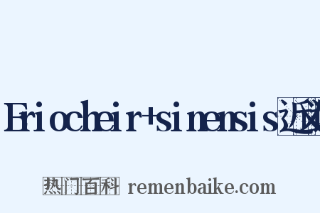 Eriocheir+sinensis近义词是什么意思的图片
